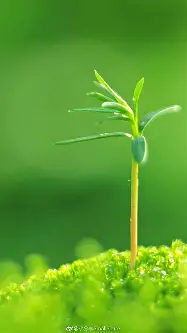 太狠了！Doinb连续十场比赛得分超过绝杀曼城战术微调备战社区盾，托特纳姆豪取连胜备战法甲的简单介绍